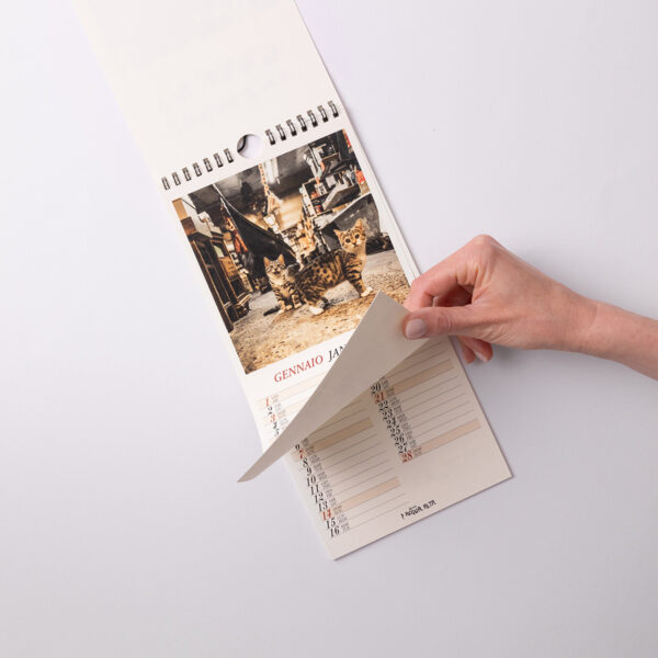 Calendari da parete | Libreria Acqua Alta