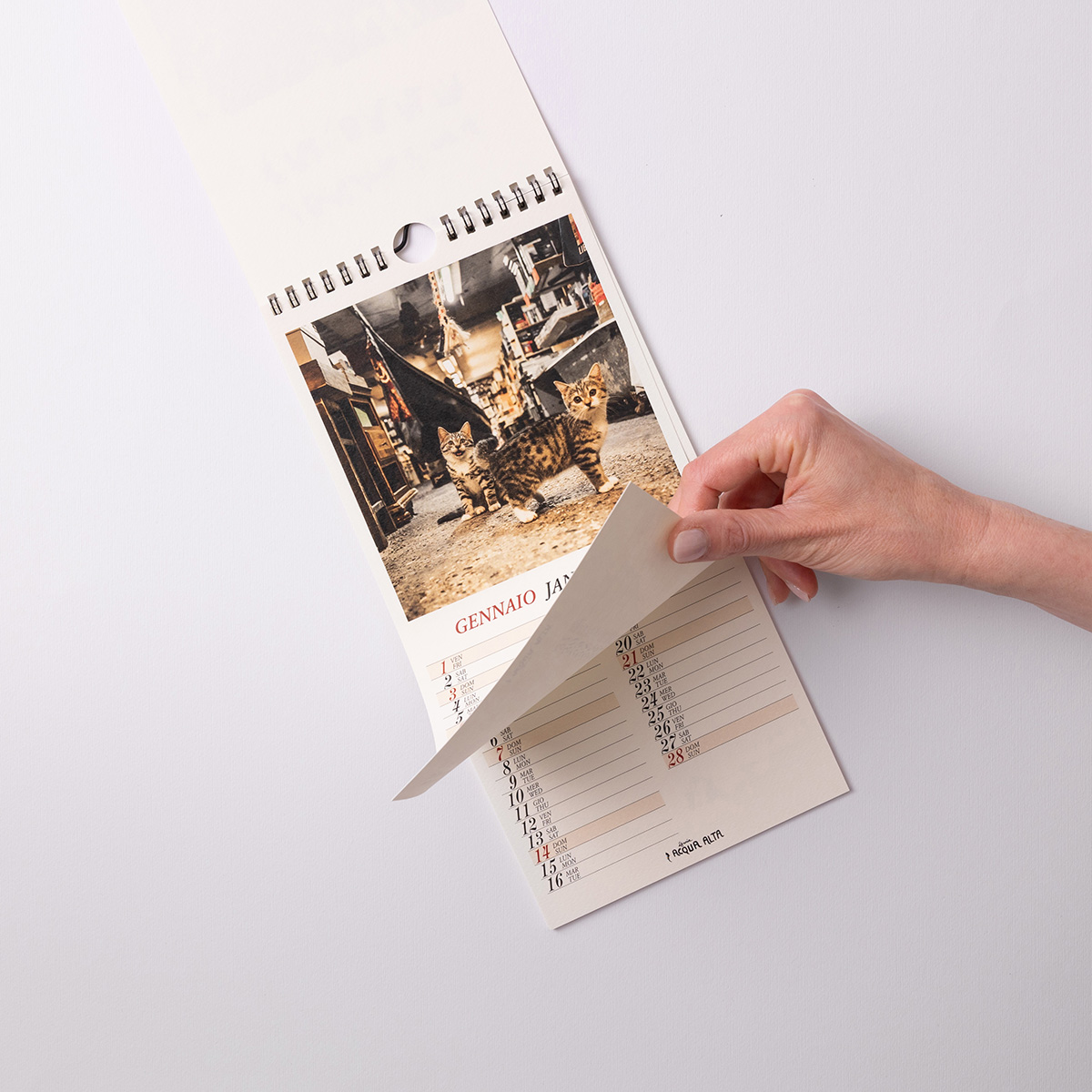 Calendari da parete | Libreria Acqua Alta