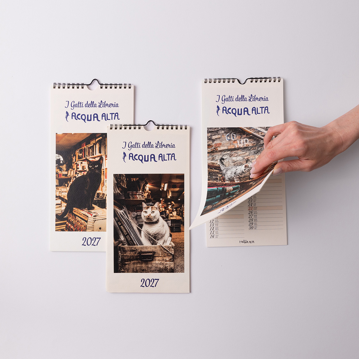 Calendari da parete | Libreria Acqua Alta