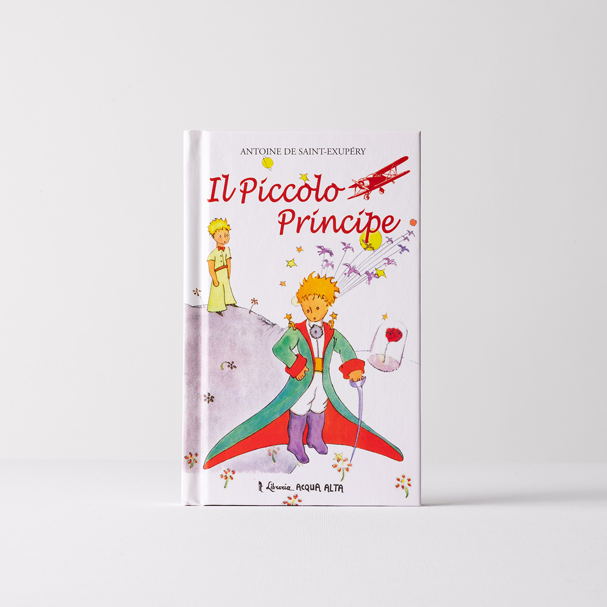 Il piccolo principe