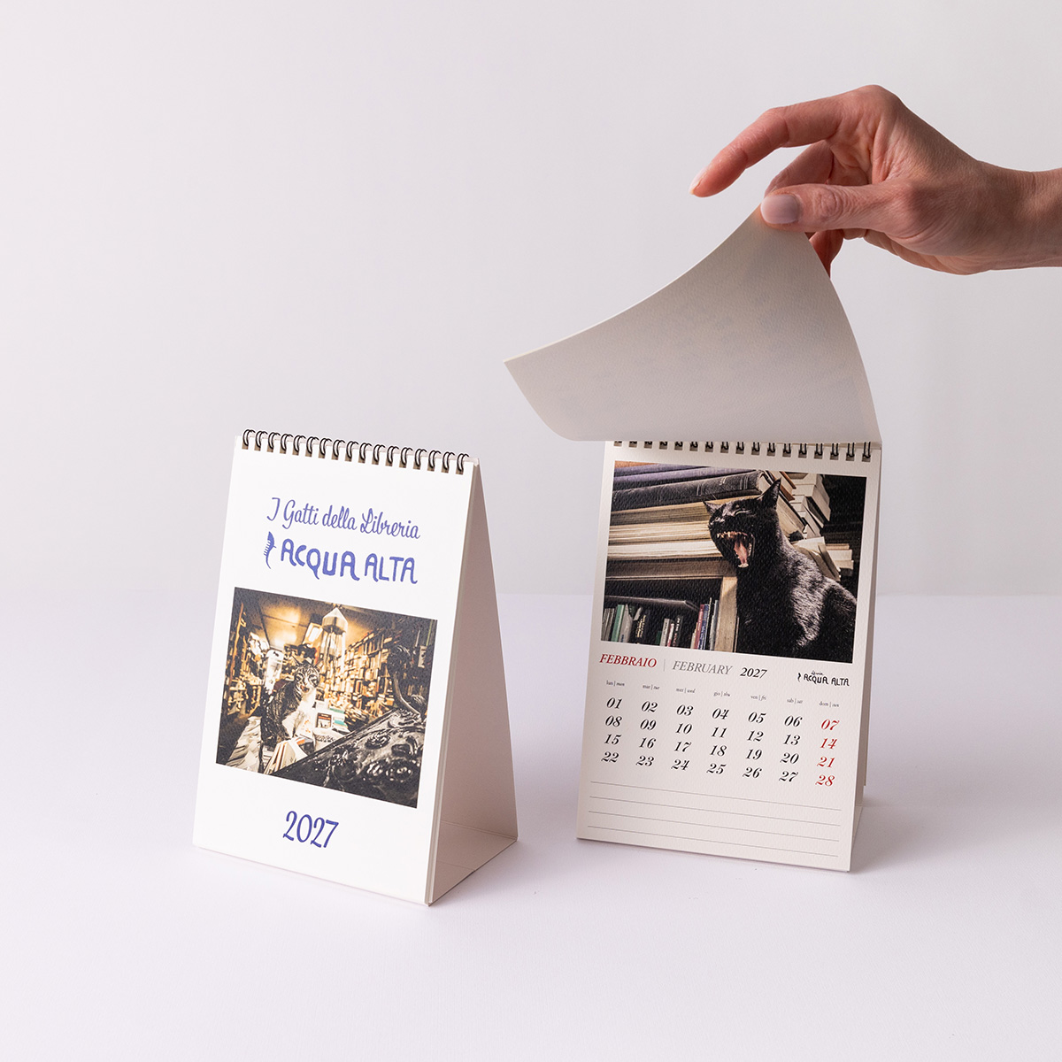 Calendari da tavolo | Libreria Acqua Alta