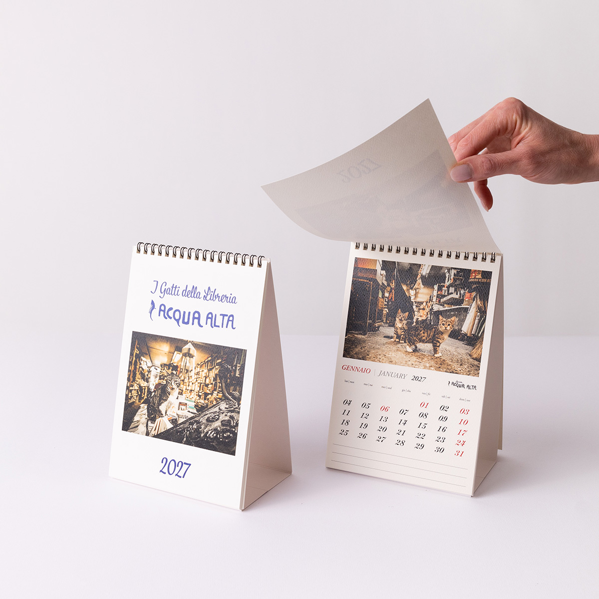 Calendari da tavolo | Libreria Acqua Alta